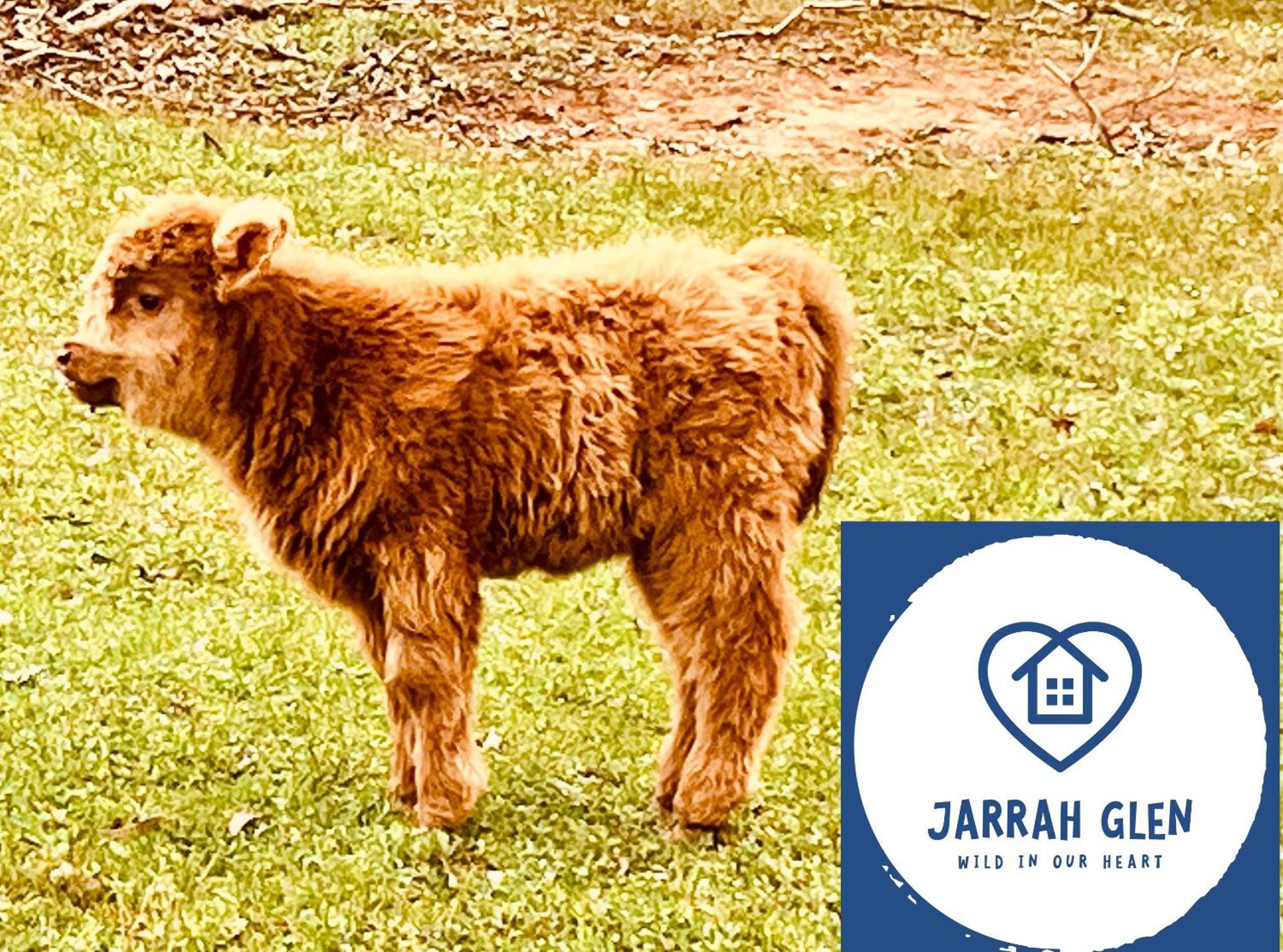 נאנופ Jarrah Glen Cabins מראה חיצוני תמונה