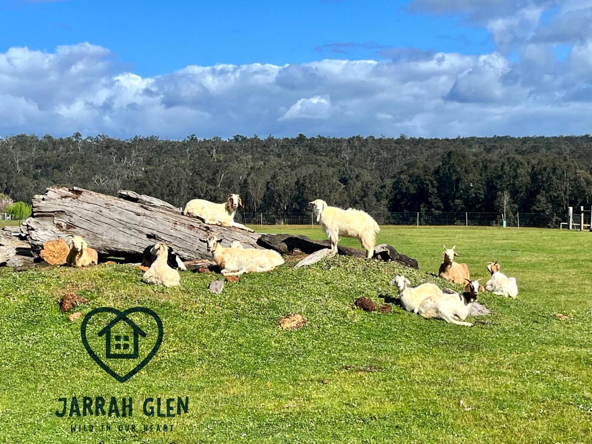 נאנופ Jarrah Glen Cabins מראה חיצוני תמונה