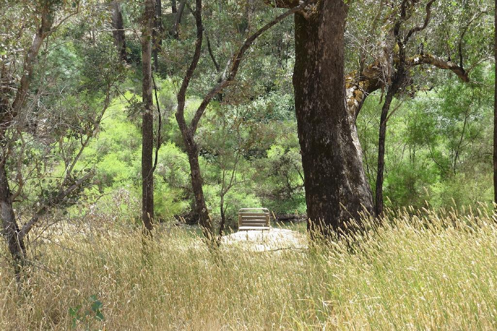 נאנופ Jarrah Glen Cabins חדר תמונה